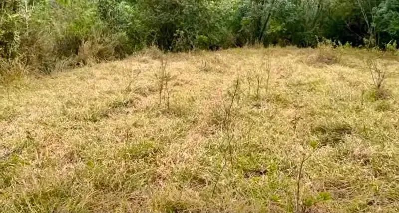 Recanto das aguas em bom repouso