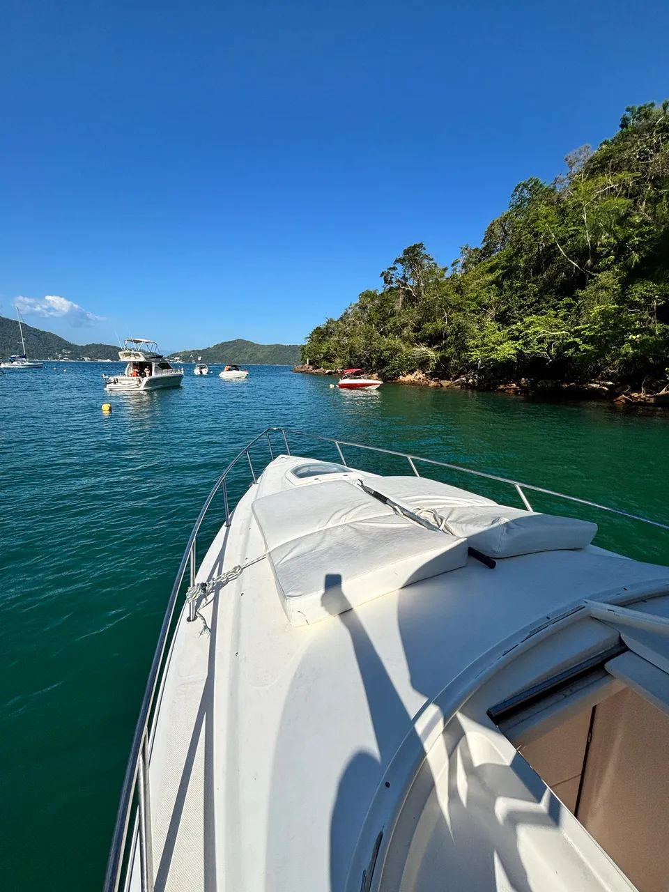 Vendo real hawk 32 pés  - Foto 6