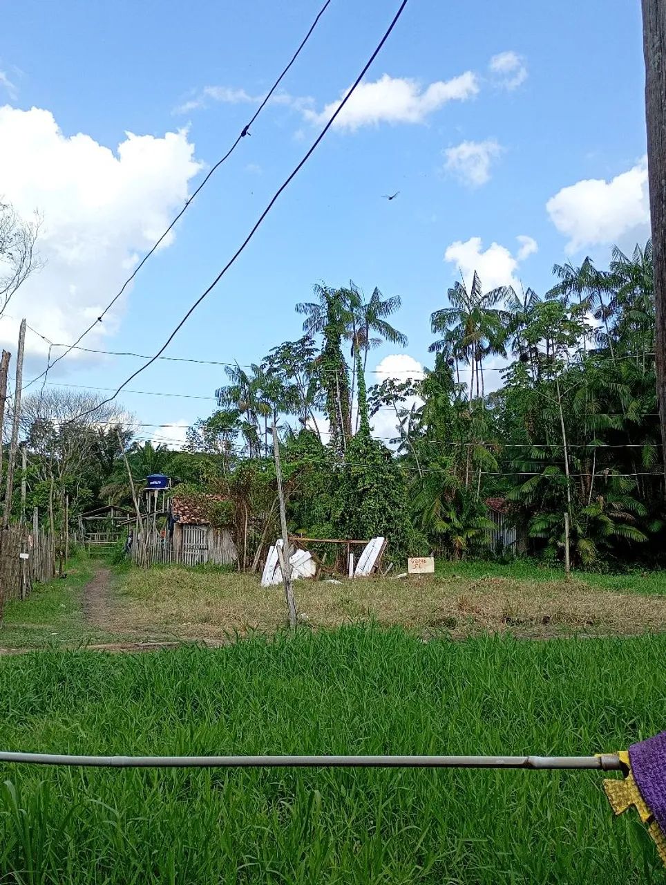 Terreno 