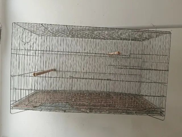 Gaiola de ferro grande