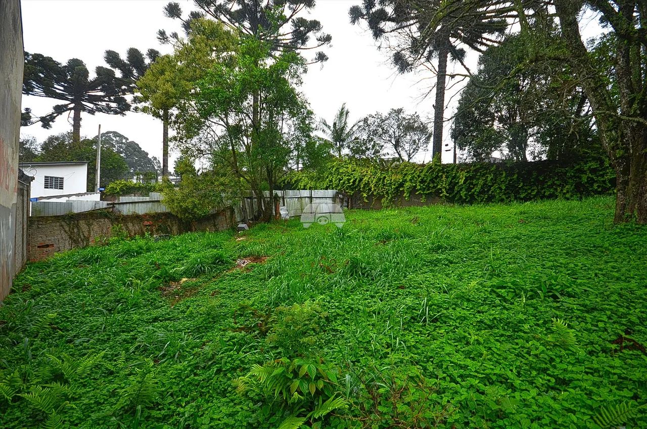 Vendas Terreno Curitiba PR - Foto 4
