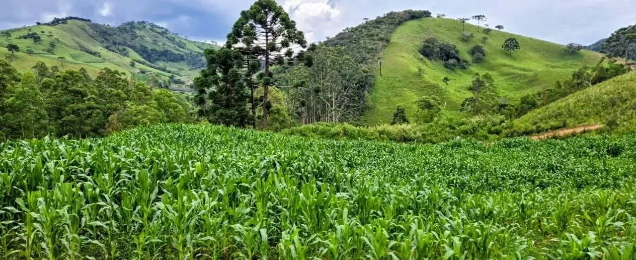 promoção terra f értil - Foto 2