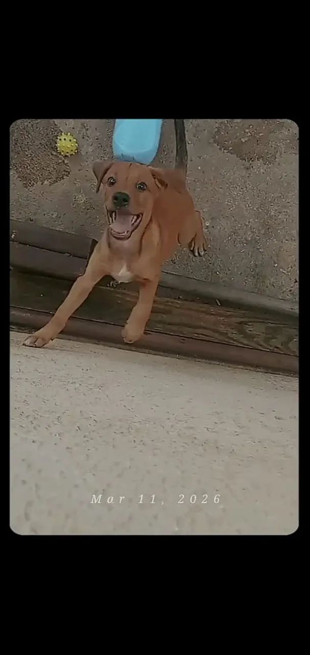 Doação  - Foto 5