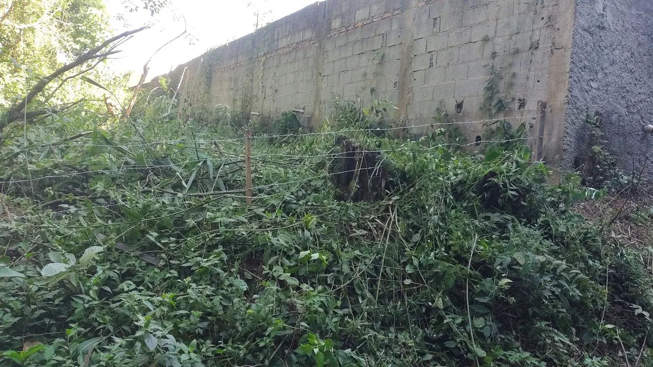 Terreno - Foto 3