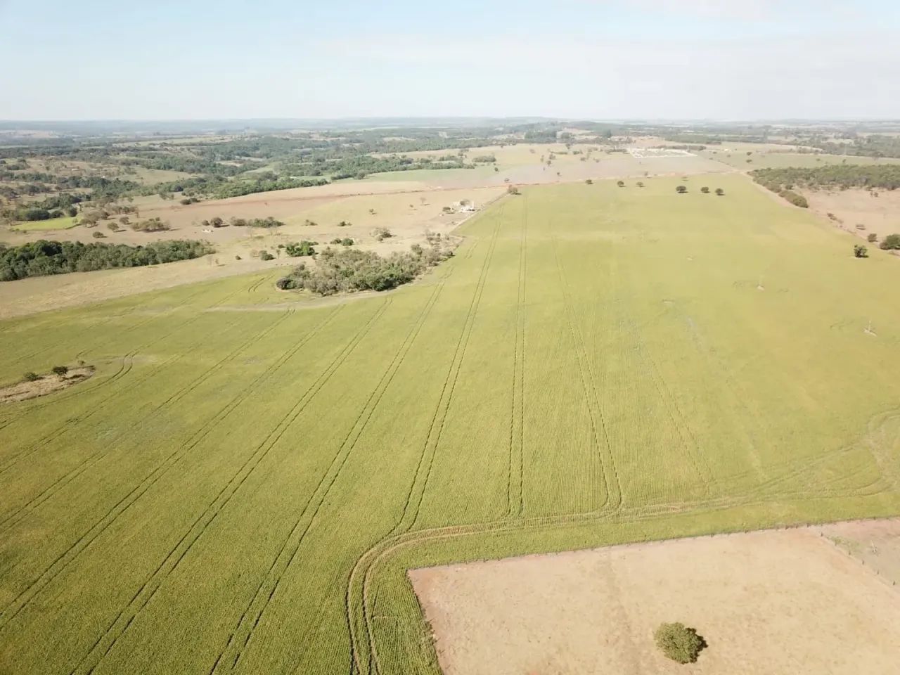 Fazenda/Sítio/Chácara para venda - Foto 5