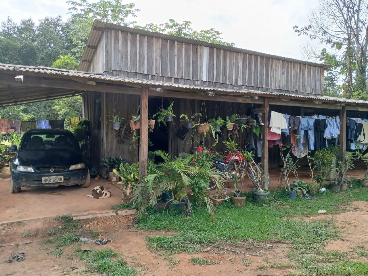 VENDO ESSA CHÁCARA  - Foto 2
