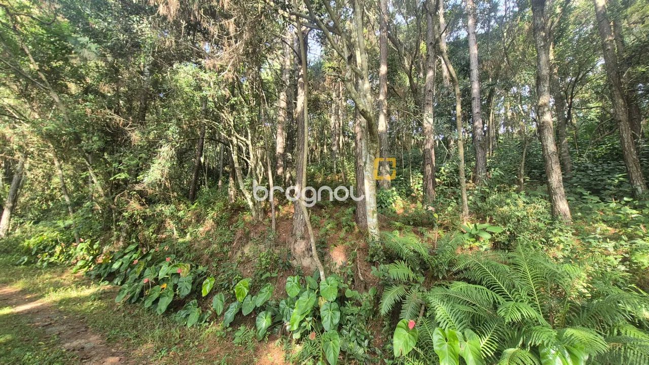 Terreno a venda na Vargem Pequena - Foto 2