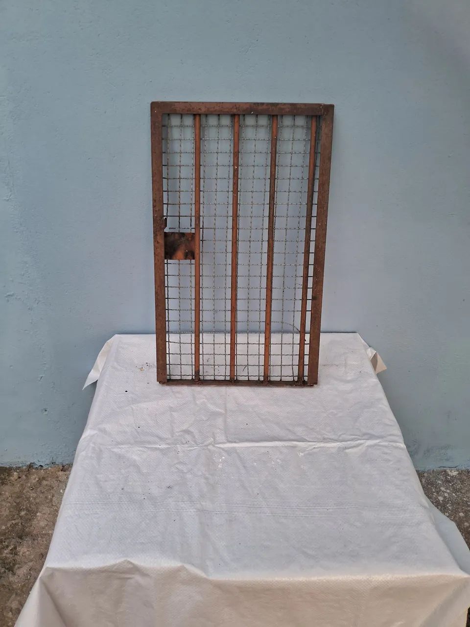 Portão de Proteção  - Foto 3