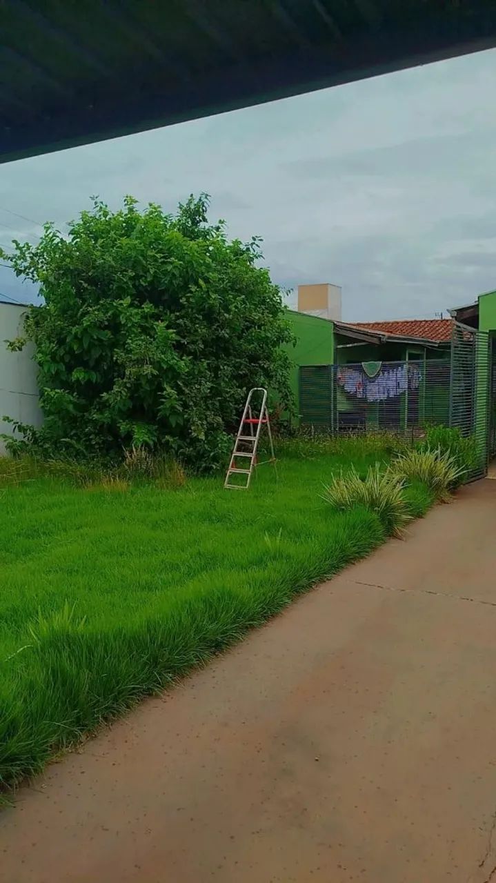 JARDINEIRO / JARDINAGEM  - Foto 5