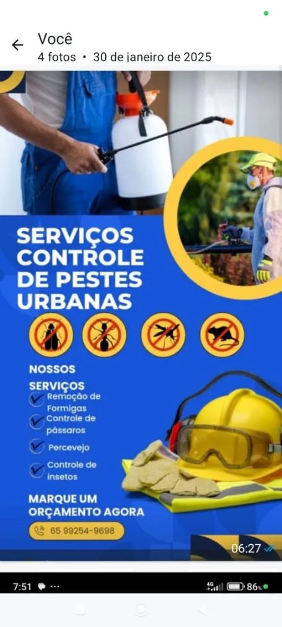 Dedetização 