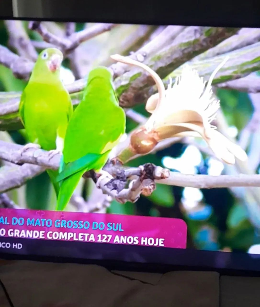 Tv 58 polegadas,.marca Philco. - Foto 4