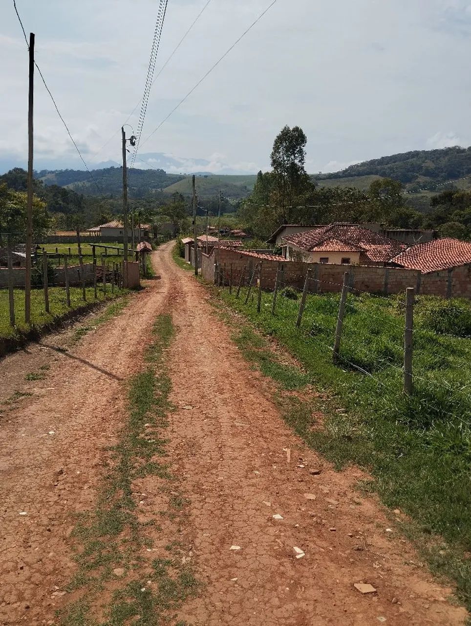 Lote - Foto 2