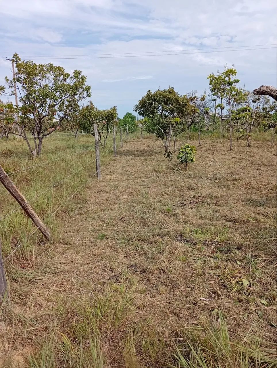 Terreno venda  - Foto 3