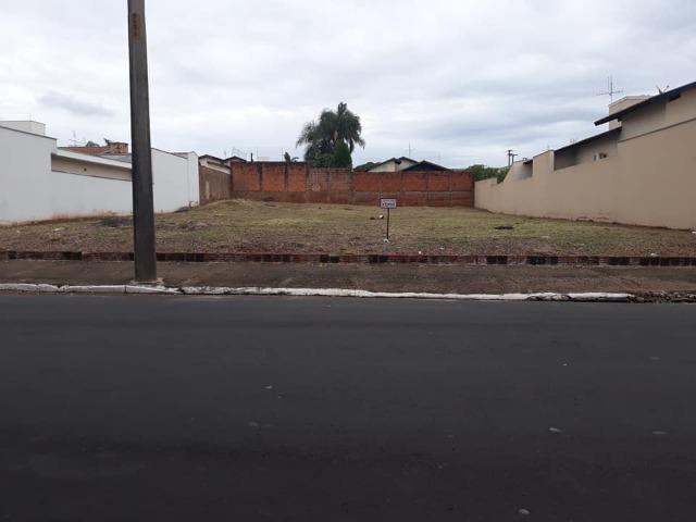 Terreno: 12,00 X 44,00 = 528,00 m² -Jd. Aclimação -Jales -SP- Ref: 901 - Foto 2