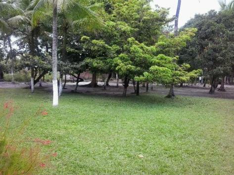 Chácara em Igarassú. Casa boa, 2 Piscinas, campo, etc - Foto 4