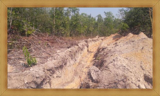 2200 Hectares,Lavoura e pecuária Tabaporã-MT,aceito permuto Cuiabá e Brasil - Foto 3