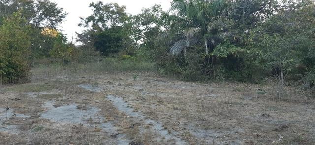 Fazenda de 25 Alqueires, Município Araguapaz-Go - Foto 11