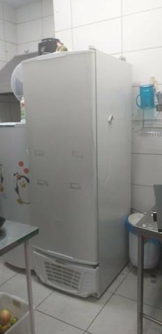 Freezer refrigerador gelopar porta cega 220v