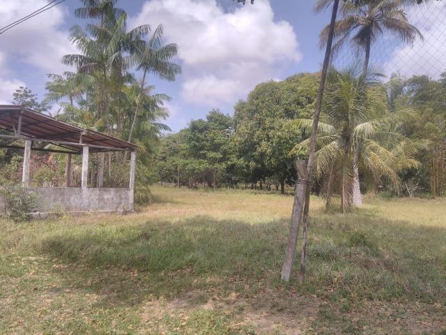 Vendo - Área documentada - Foto 18