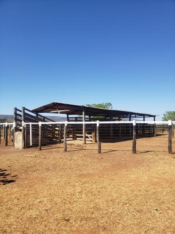 Fazenda de 510ha em Buritis MG - Foto 12