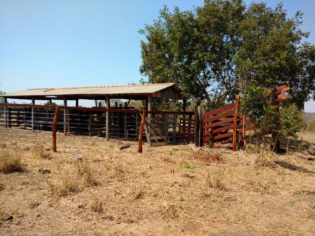 Fazenda Cuiabá Livramento 305,65hect - Foto 2