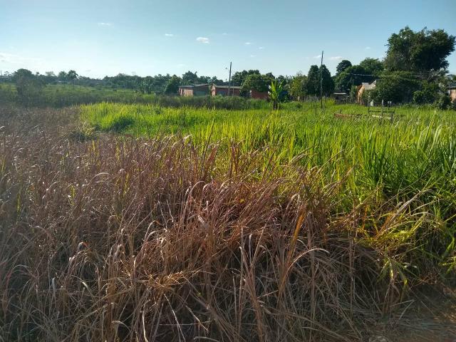 Terreno - Foto 3