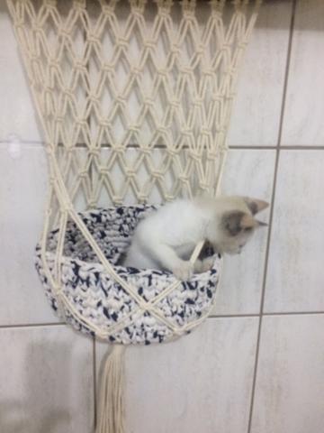 Cesto suspenso em Macramê para gatos