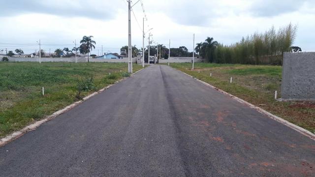 Terrenos - Foto 3