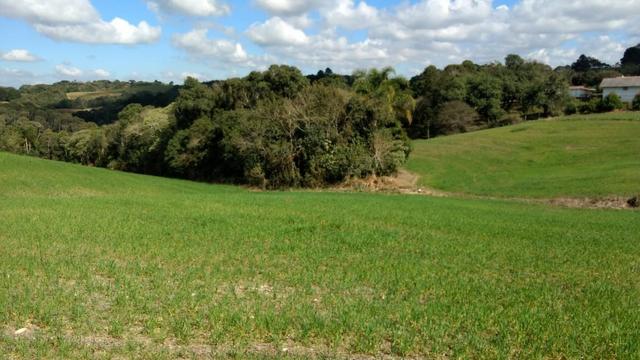 Chácara em Campo Largo Bairro Botiatuva - Foto 13