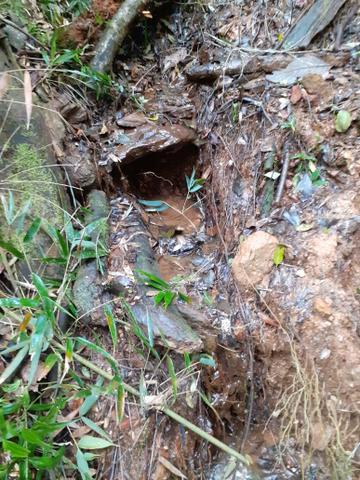 Mini chácara em Bocaiúva do sul 2.800mt - Foto 9