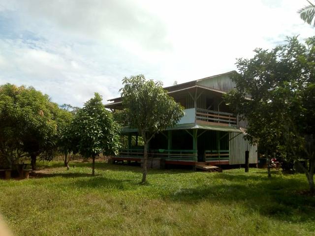 Vendo uma colônia com 100 Hectares de terra