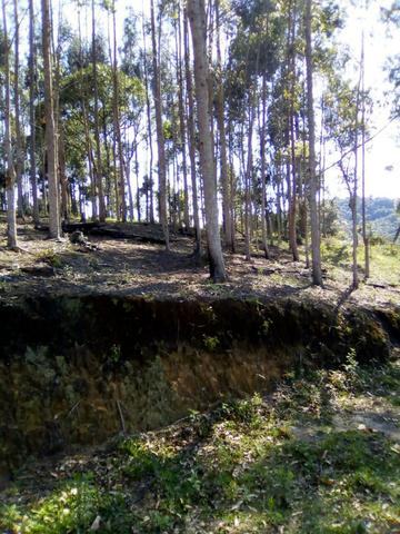 Chacara Vana - Foto 5