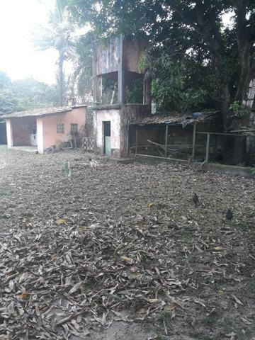 GS - Grande Oportunidade Sítio no Maiobão 16.000m² // 03 Quartos // Área Verde - Foto 7