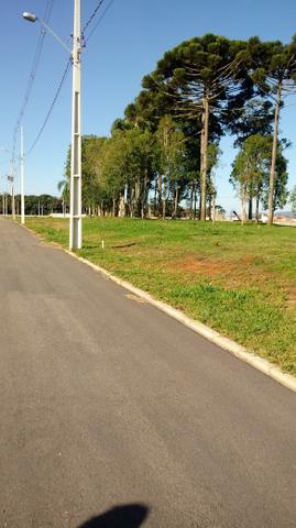 Terrenos - Foto 2
