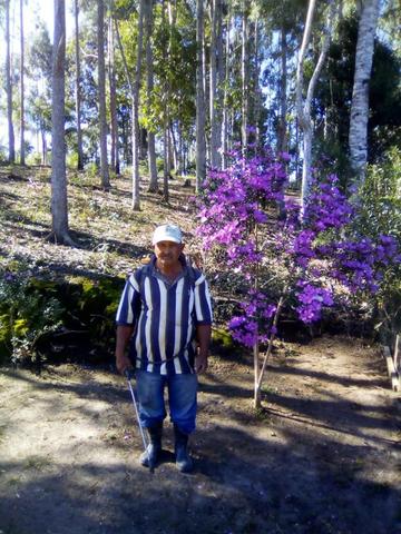 Chacara Vana - Foto 3