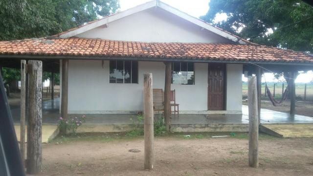 Fazenda de 16.250 Alqueires Paulista, Na Região de Confresa MT - Foto 4