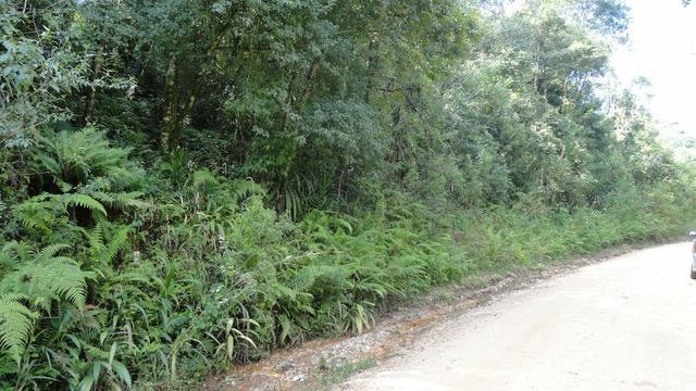 Área para chácara no pacotuba, Alm. tamandaré