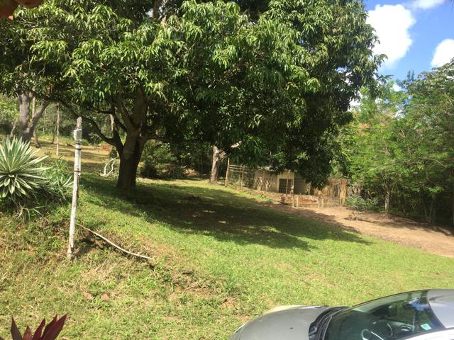 Vendo sítio pojuca ( pode financiar!) - Foto 12