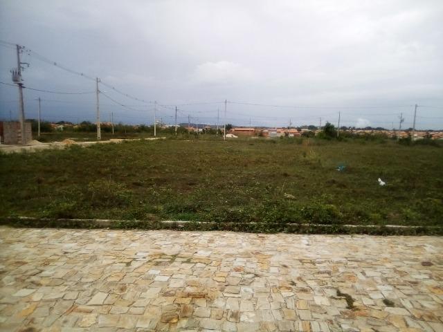 Terreno em Altos-Pi - Foto 2