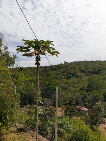 Chácara 20000
