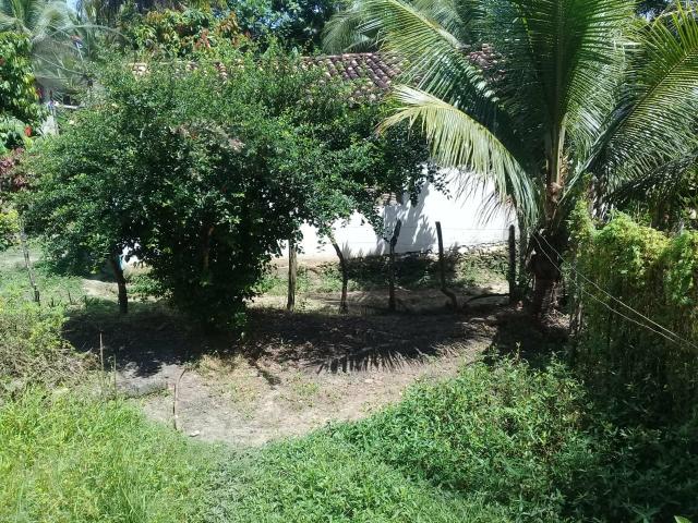 Casa vendo 20 mil - Foto 4