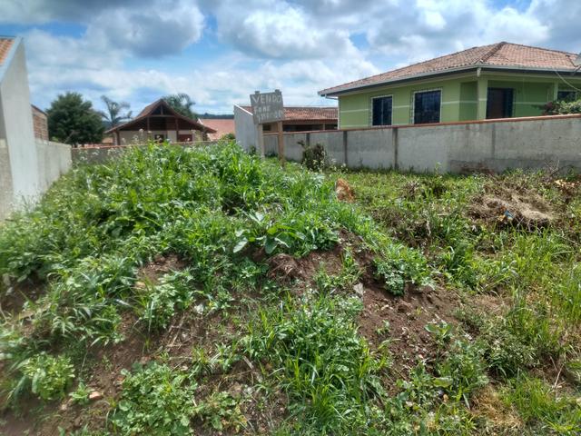 Terreno em tijucas do sul - Foto 2