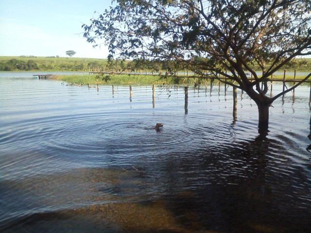 Rancho adolfo cond sobradinho- Pé na agua 550mil- lindo ac troca - Foto 4