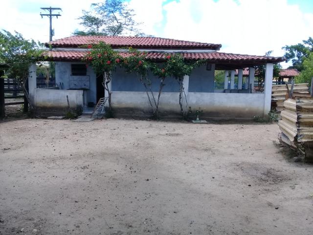 Excelente área de terra às margens da BR 116, com 614.196m