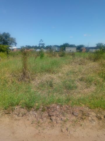 Terreno vila acre