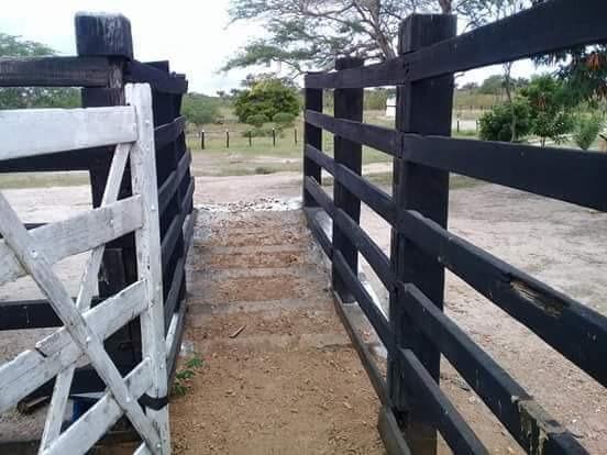Maravilhosa fazenda com casa nova de 3/4, curral, tronco, embarcador, balança e aprisco - Foto 6