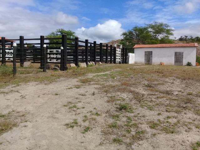Maravilhosa fazenda com casa nova de 3/4, curral, tronco, embarcador, balança e aprisco - Foto 13