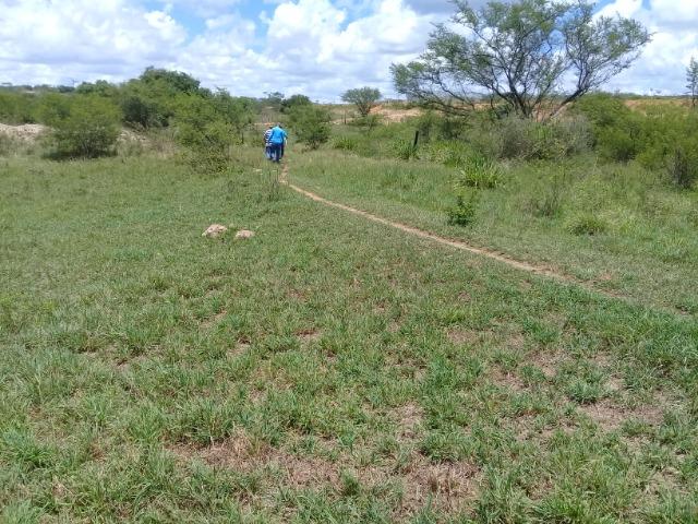 Excelente área de terra às margens da BR 116, com 614.196m - Foto 9