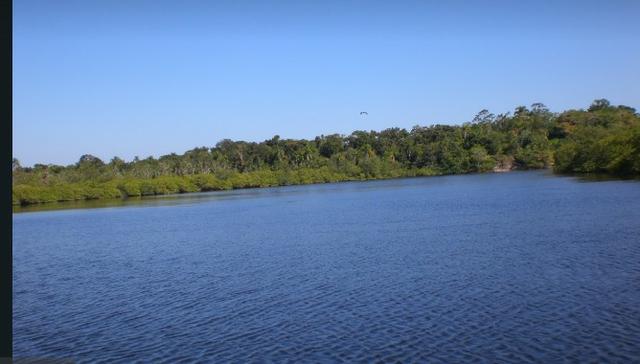 Vende-se Ilha do Casqueiro Paranagua - Foto 4