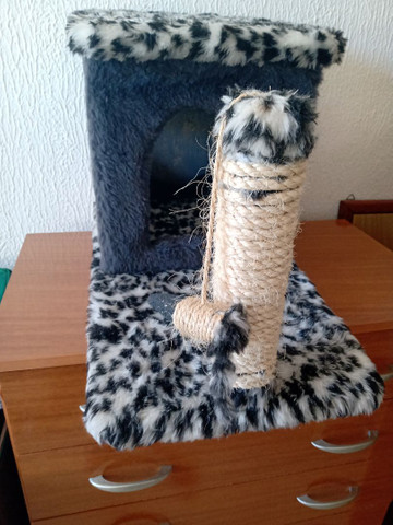 Casa de Gato nova